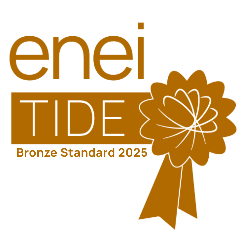 Logo for the enei TIDE Bronze Standard 2025 award